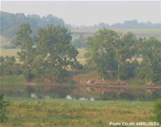 A view of a riverbank bordered by trees, with fields beyond in the distance.